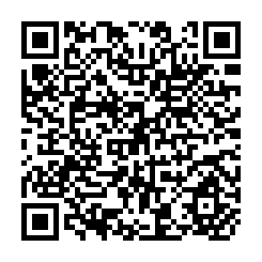 QR Code for The Comilla Pilot Project in Irrigation and Rural Electrification