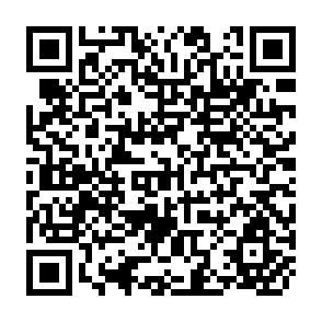 QR Code for Three Issues of Development Strategy-Food, Population, Trade