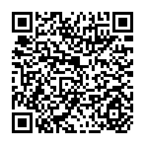 QR Code for The Journal Of Developing Areas