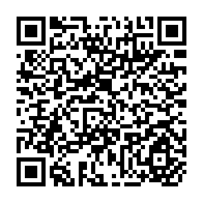 QR Code for The Journal Of Developing Areas