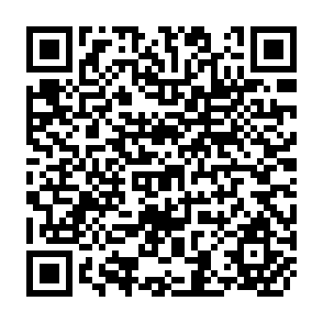 QR Code for Learning by Experience- Theory and Practise