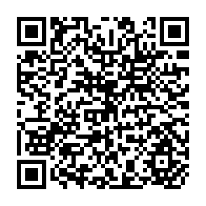 QR Code for Fundamental Values and Basic Demands of Democratic Socialism0