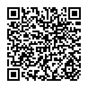 QR Code for Quality of Statictical Data