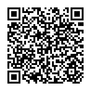 QR Code for Micro-macro links in planning