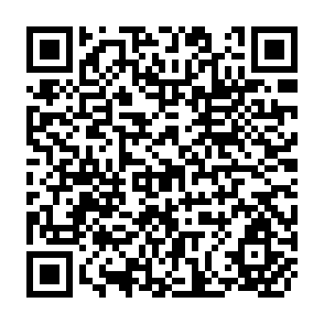 QR Code for The Future of the World Economy A united Nations Study