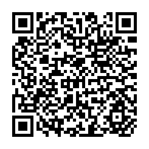 QR Code for Workers' Co- Determination in Germany