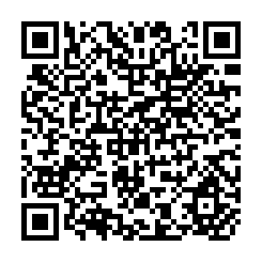 QR Code for Development Viable Irrigation Assications: Lessons from Small Scale Irrigation Development in the Philippin
