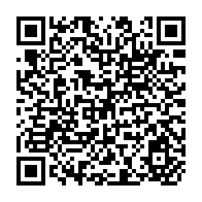 QR Code for Public policy evaluation,Meta-Evaluation,and essentialism:The case of rural cooperatives