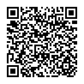QR Code for Training Strategies for Integrated Rural Development