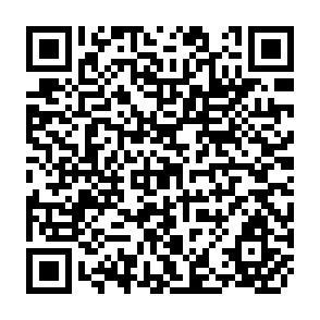 QR Code for The Role of Institutional Changes in the Growth of Postwar Japan
