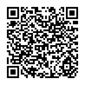 QR Code for Impacts of Public Agricultural Land Distribution on Farm Size Inequality in Palawan,1951-1975