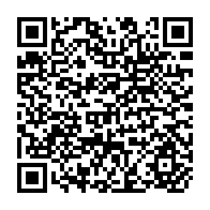 QR Code for Statistics as a Component of Strategies For Agricultural Planning and Rural Development