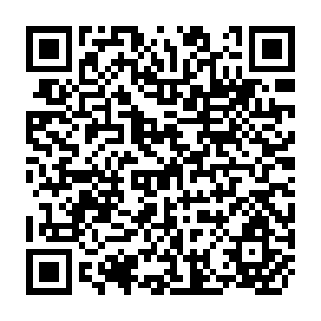 QR Code for Small Farmers Development Team