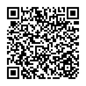 QR Code for Recommended Support for Grain Policy Development and Implementatio in Sri Lanka