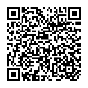 QR Code for Introduction to the Anglo-American Cataloguing Rules
