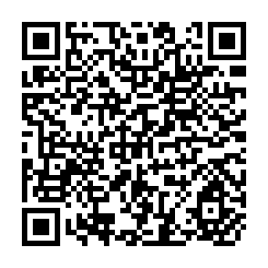QR Code for Public Enterprises in Malaysia: Roles, Structure and Problems