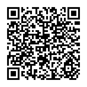 QR Code for A Regional Analysis of Beef-Cattle Prices