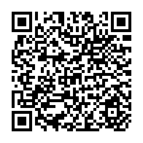 QR Code for The Economics Of Subsistence Agriculture
