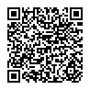 QR Code for Brazil's Minimum Price Policy and the Agricultural Sector of Northeast Brazil