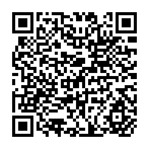 QR Code for The Impact of teo Communal Irrigation Projects in the Philippines