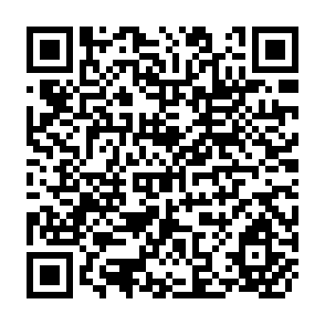 QR Code for Fertility Behavior and Labor Force Participation: A Model of Lexicographic Choice