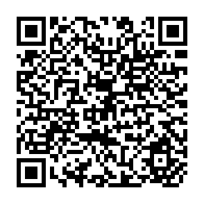QR Code for Limits to the Price of Oil