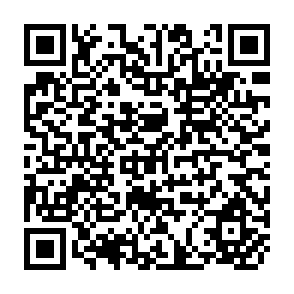 QR Code for Modernization:The Dynamics of Growth