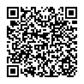 QR Code for World Food Crisis
