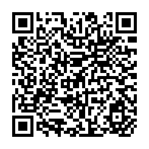 QR Code for Factors in Economic Development