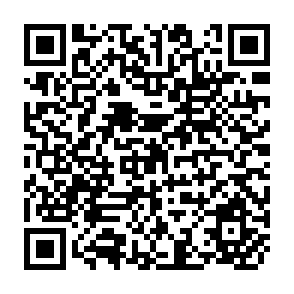 QR Code for Landless and Rural Poverty in Latin America: Conditions, Trends and Policies Affecting income and Employment