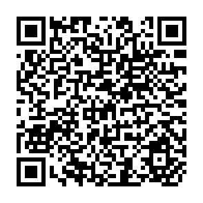 QR Code for Distribution of Land,Employment and Income In Rural Egypt