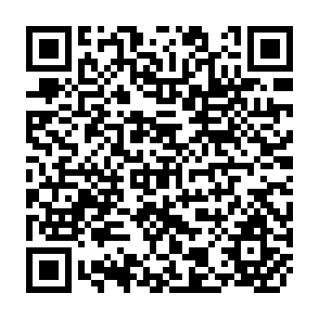 QR Code for The Rural Urban Wage Gap, Migration, and the Shadow Wage