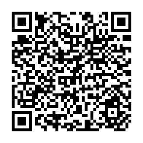 QR Code for The Appraisal of Development Projects A Practical Guide to Project Analysis with Case Studies and Solutions
