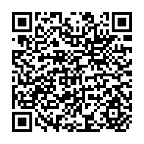 QR Code for Data Achives For The Social Sciences: Puposes, Operations And Problems