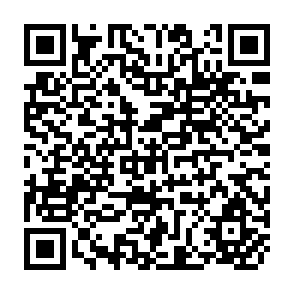 QR Code for The Financial Cost of Agricultural Credit: A Case Study of Indian Experience