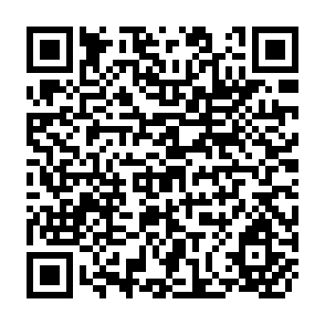 QR Code for Agricultural sector planning models: A selected summary and critique