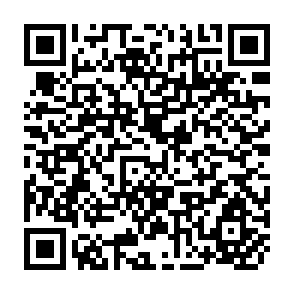QR Code for The Technology of Rural Development