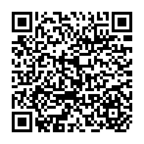QR Code for The Design of Social Policy Research