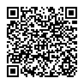 QR Code for Report of the Workshop on Price and Income Supports and their Impact on the Small Farmer