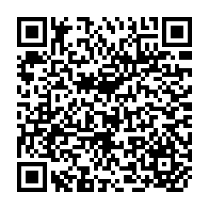 QR Code for Systems analysis for information retrieval