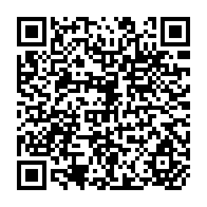 QR Code for Guide To Practical Project Appraisal