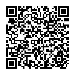 QR Code for Village Mirjapur:A Socio-Ecnomic Survey
