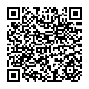 QR Code for Communication An Integral Element Of Administrating Development Programmes