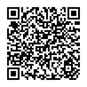 QR Code for Innovations in Tax Policy and Other Essays