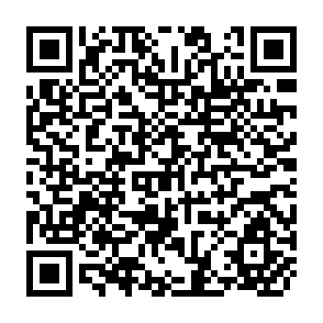 QR Code for Some Issues in Connection with the Improvement of the Social Accounting Systems of Developing Countries