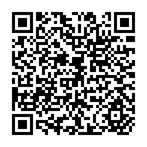QR Code for On Social Development : The Social welfare Approach