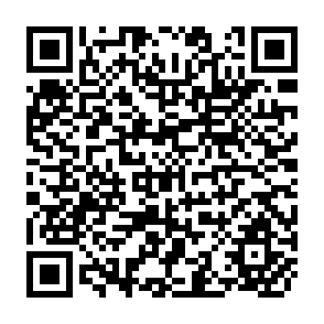 QR Code for Macmillan Studies in Economics