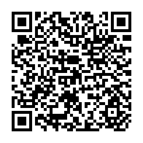 QR Code for The International Economisc of Development Theory and Policy