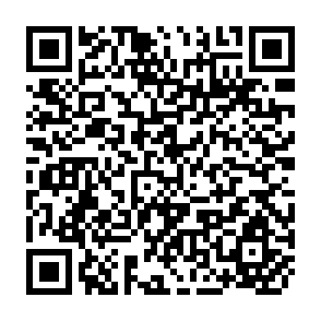 QR Code for Energy for Rural Development Steering Committee Decisions and Program Management Plan