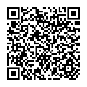 QR Code for The Role and Training of Development Activists